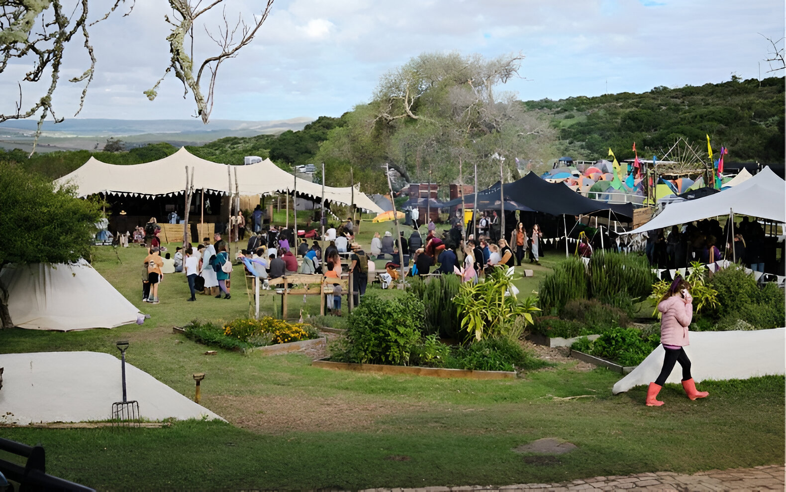 Reforest Fest