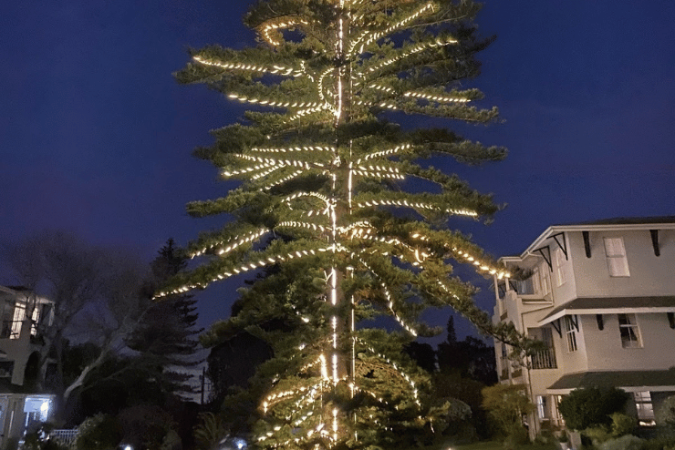 Tree of Lights