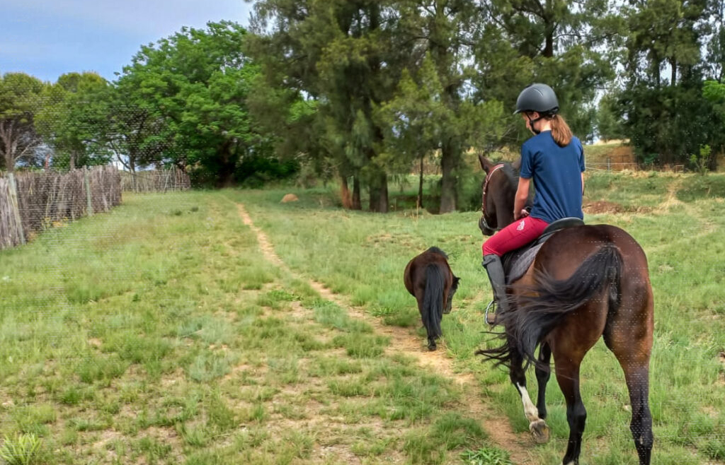 RideJozi Equestrian Ranch