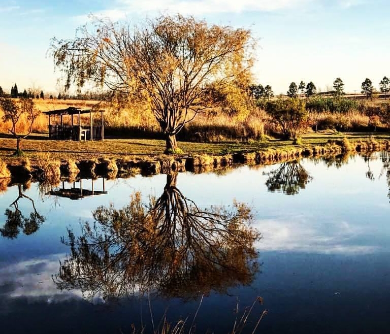Walkhaven Dog Park