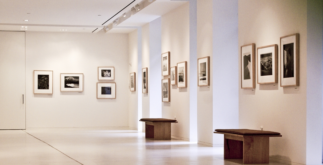 Afronova Gallery