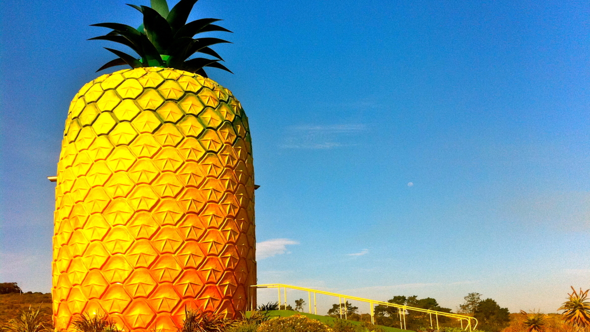 The Big Pineapple