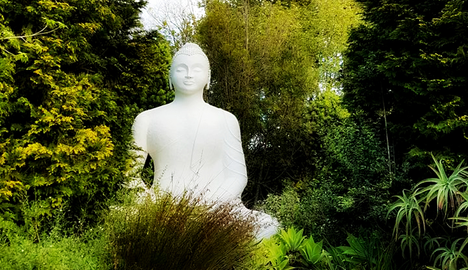 The Buddhist Retreat Centre