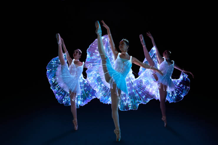 Ballet of Lights: Sleeping Beauty