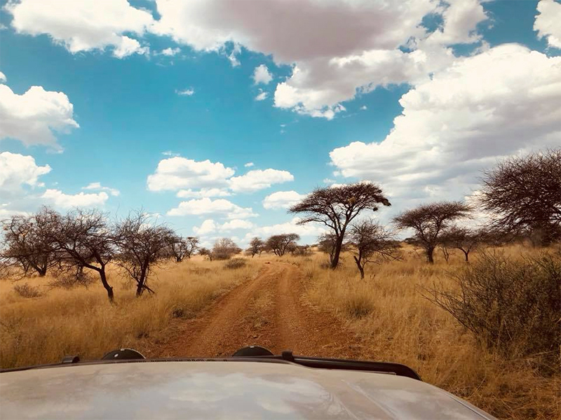 Botsalano Game Reserve