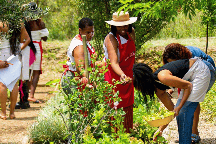 Cooked By Fire: The Farm Experience