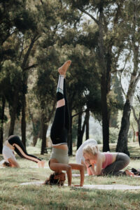 The Mindful Mover
