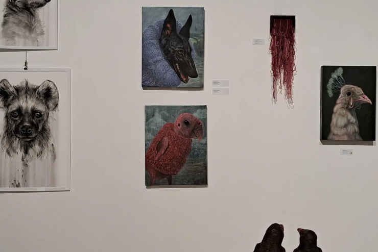 Gallery at Glen Carlou