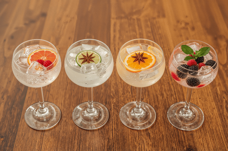 Gin & Fruits Xperience