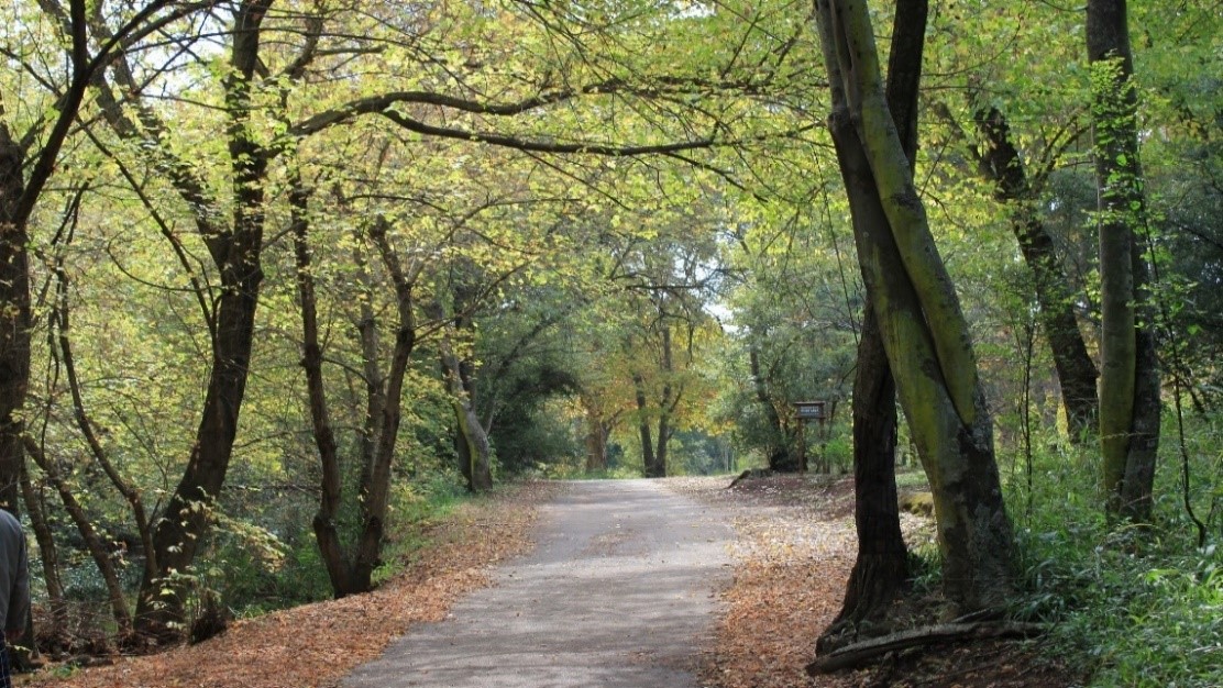 Groenkloof Nature Reserve
