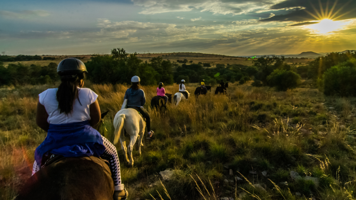 Harties Horse Trail Safaris