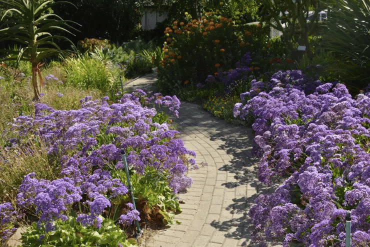 Helderberg Open Gardens