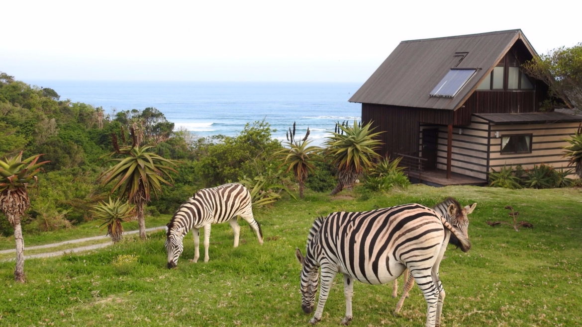 Hluleka Nature Reserve