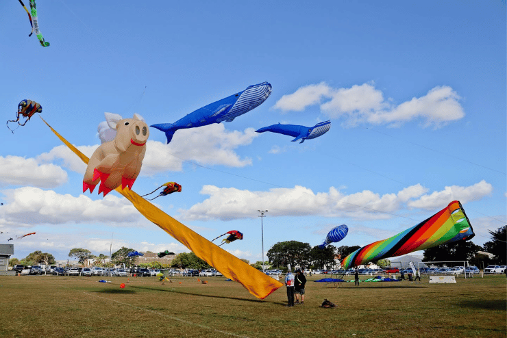 Cape Town International Kite Festival