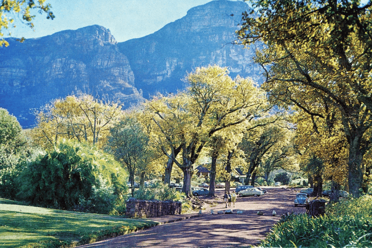 Liesbeek River Heritage Tour