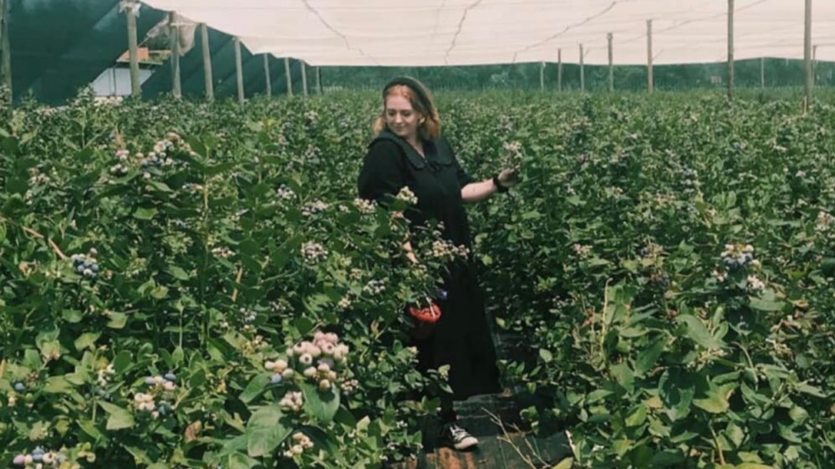 MacFresh Deli & Berry Farm