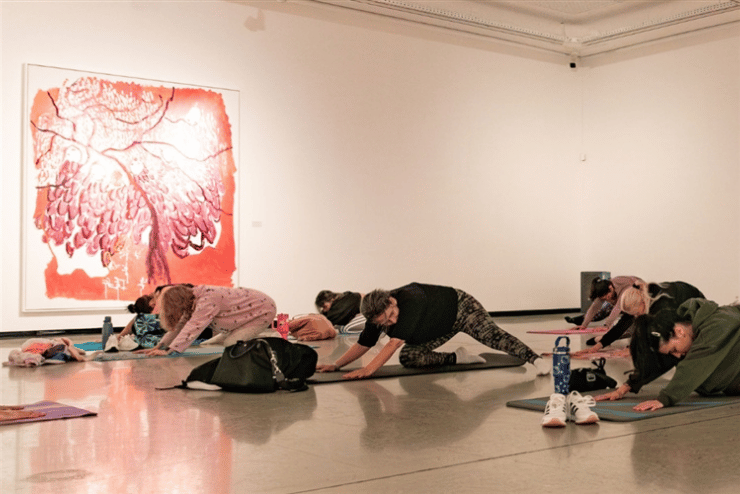 Pilates at Norval Foundation