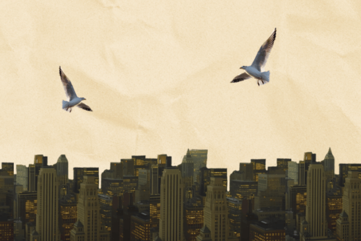 Reaxenia at Theatre Arts