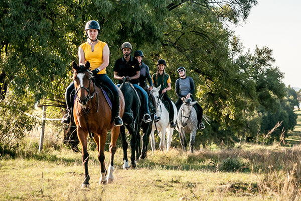 Shepherd’s Fold Stables
