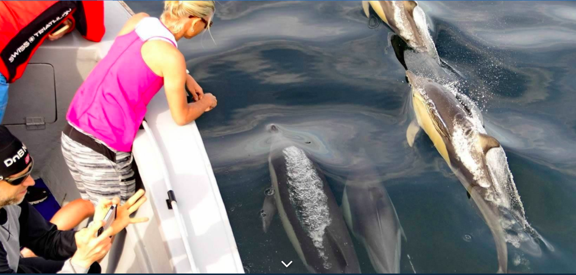 Raggy Charters