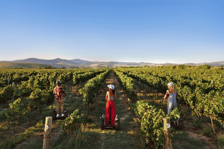 Segway Vineyard Tours at Spier