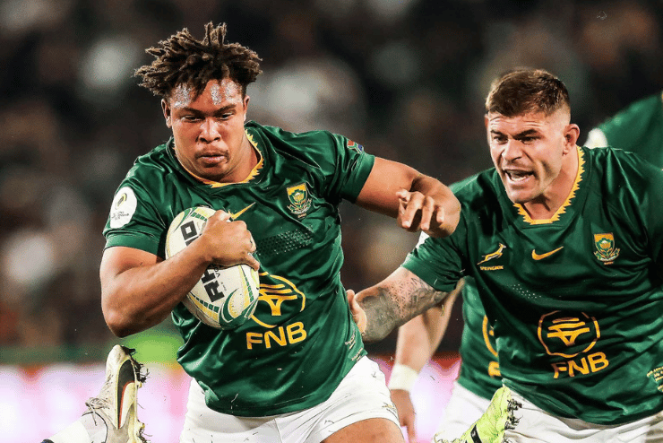 Springboks vs Scotland