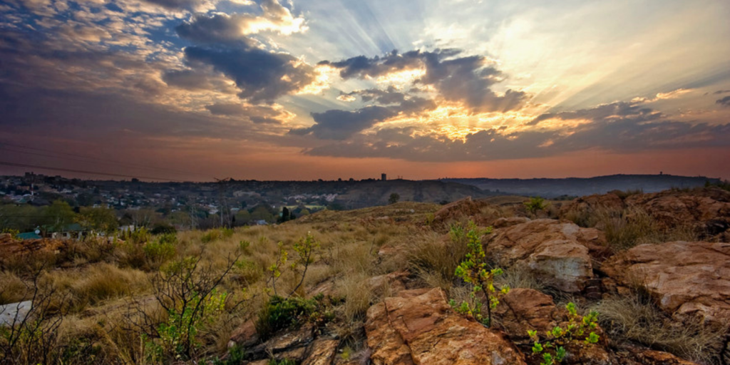 Melville Koppies
