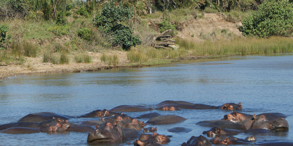 iSimangaliso Wetland Park