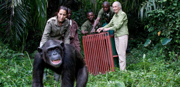 Jane Goodall Institute