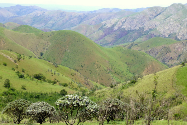 Barberton Makhonjwa Mountain Land