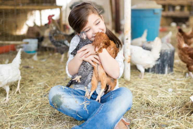 Willow Feather Farm