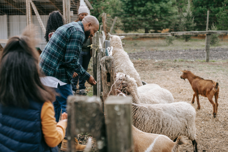 Crazykidz Farmyard