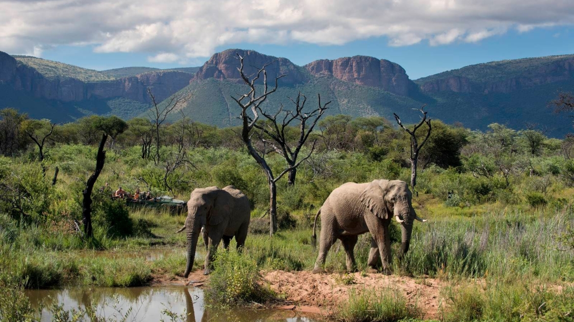 Welgevonden Private Game Reserve