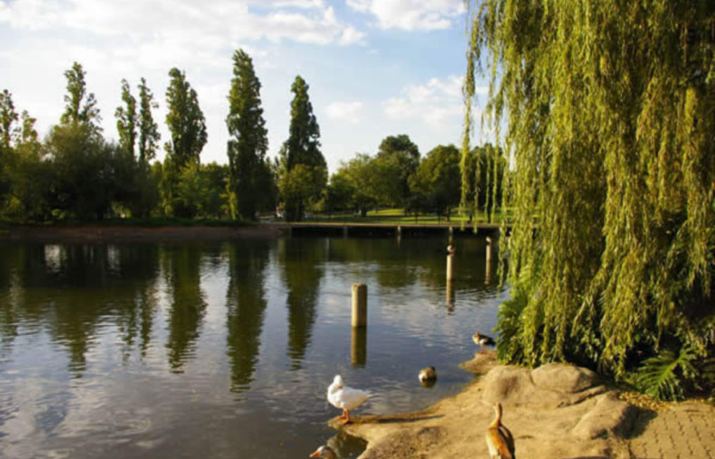Zoo Lake
