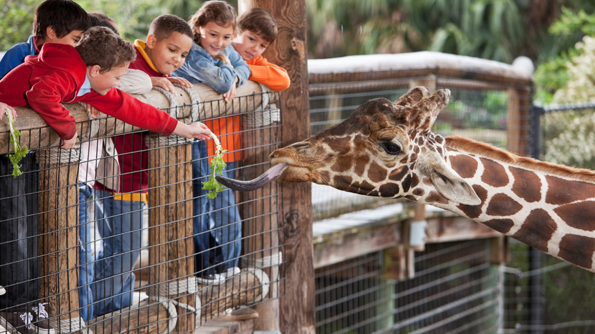 National Zoological Garden