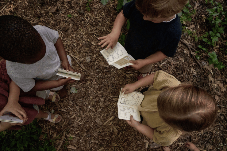 Boschendal Tree House Holiday Programme
