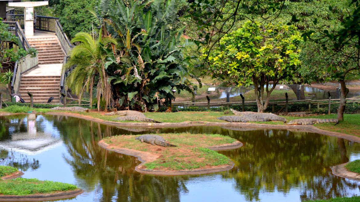 Crocworld Conservation Centre
