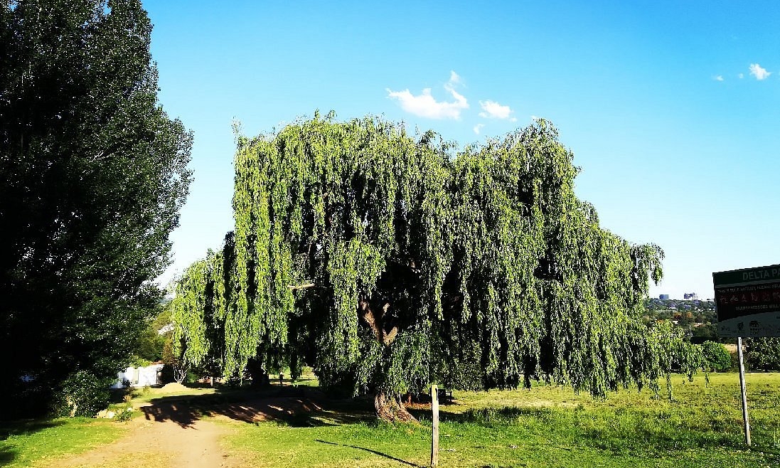 Delta Park