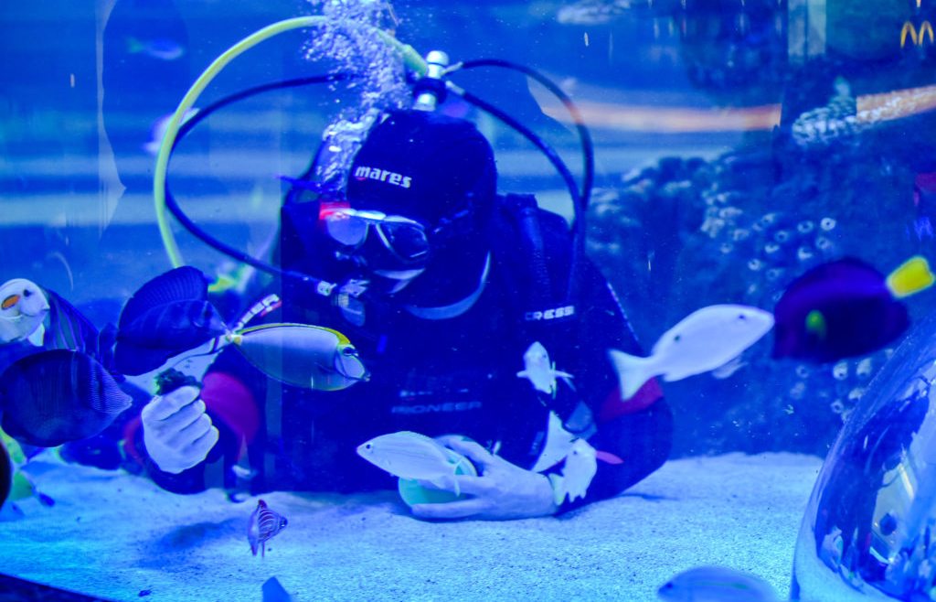 Crest Aquarium
