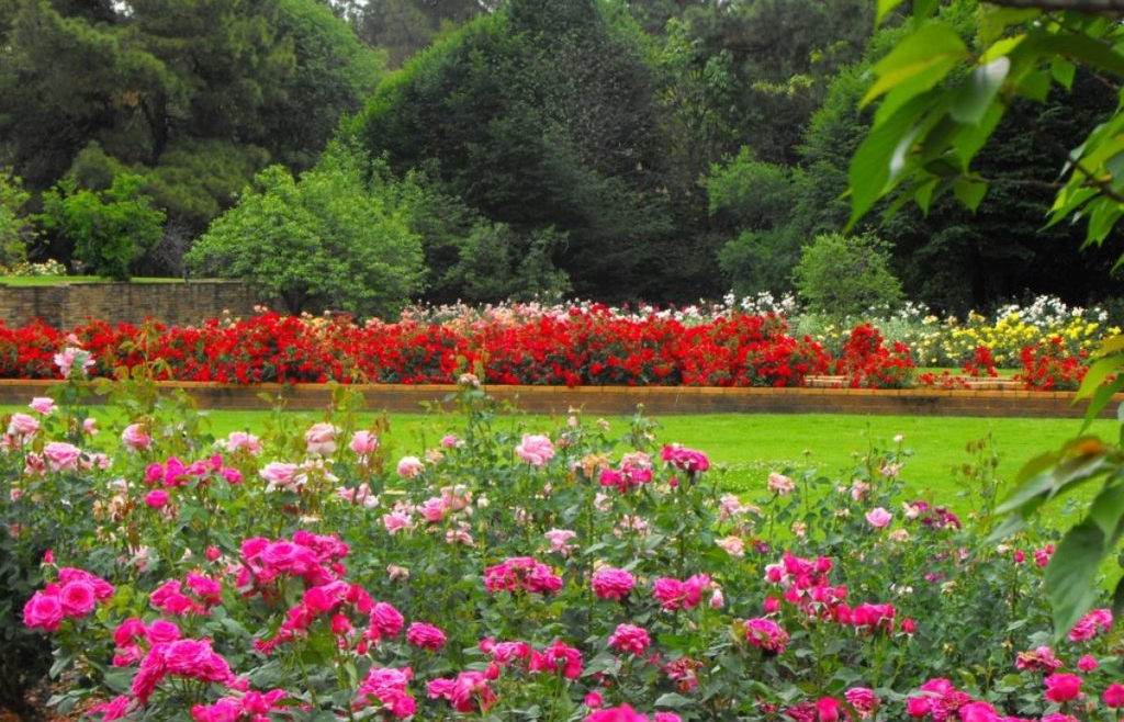 Johannesburg Botanical Gardens