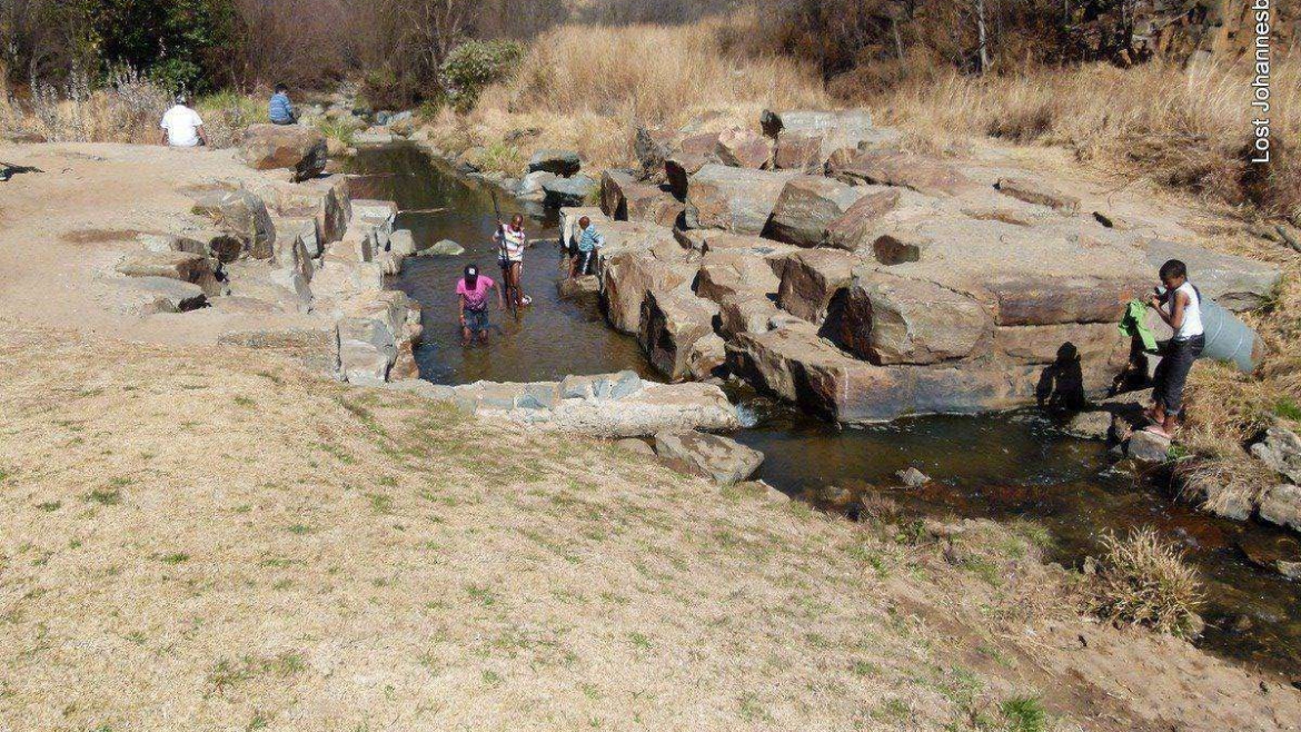 Klipriviersberg Nature Reserve