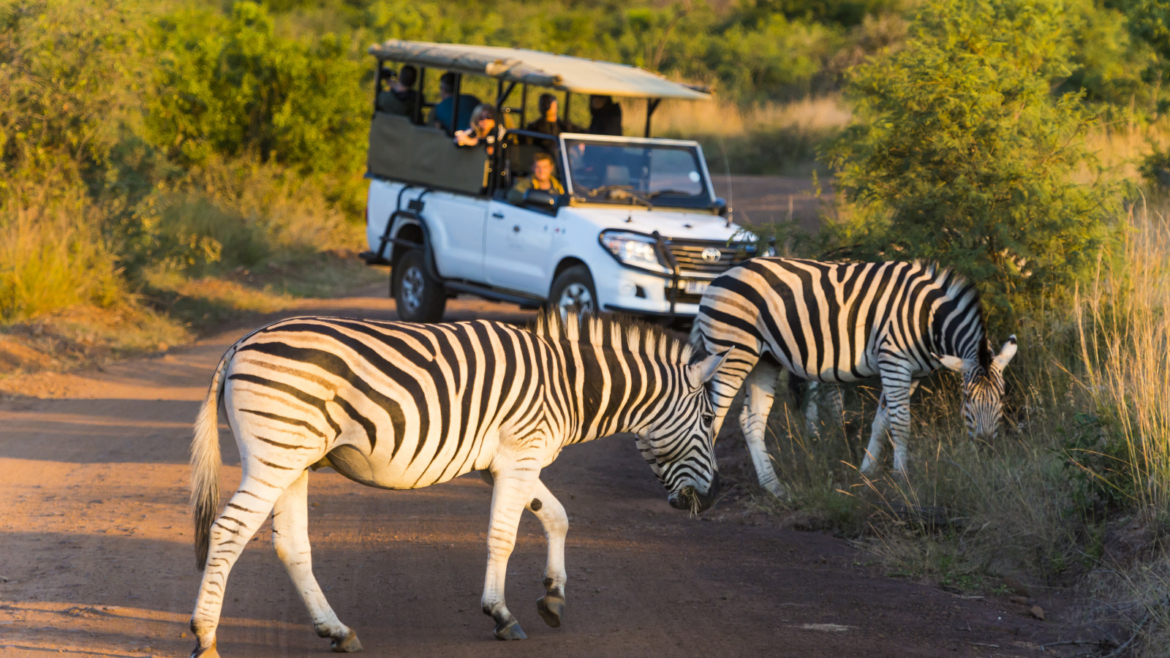 Pilanesberg National Park