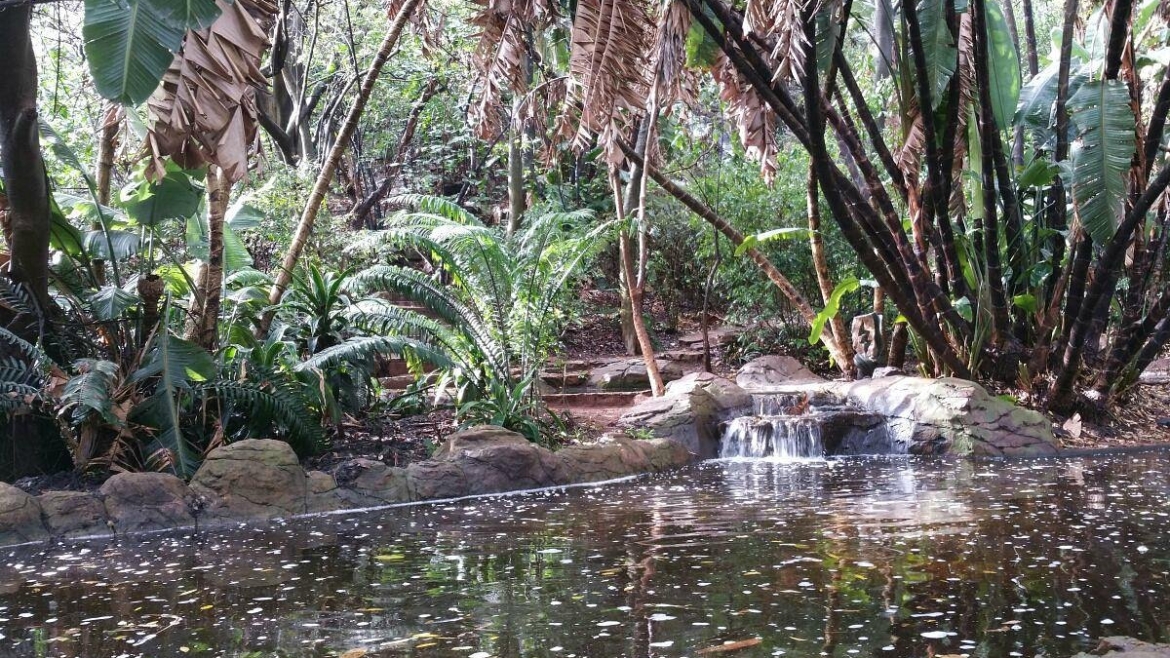 Pretoria National Botanical Garden
