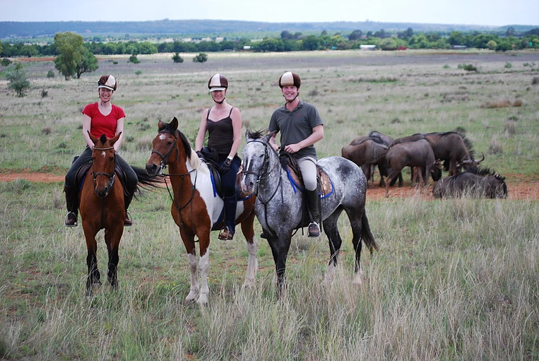 Horseback Africa