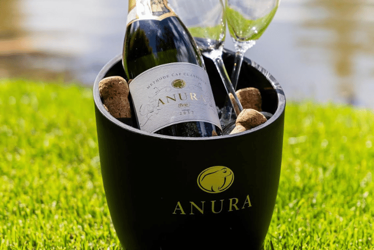 The Bubbly Festival