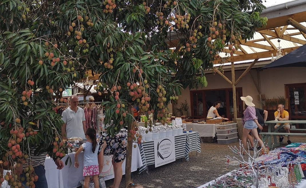 The Litchi Orchard