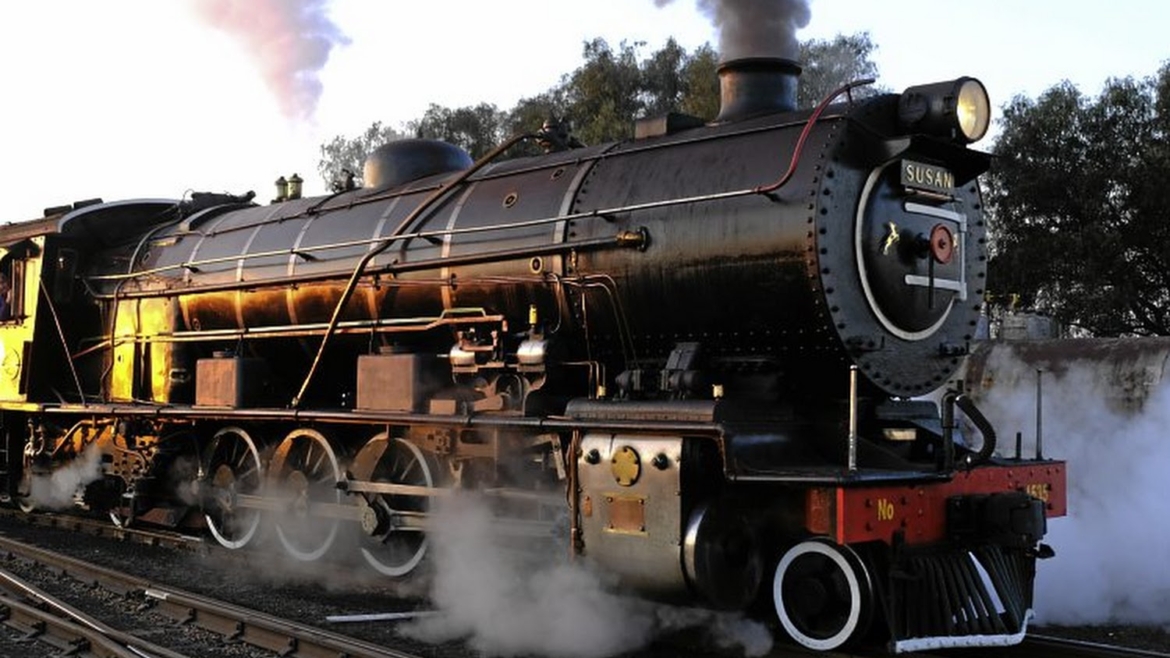 Reefsteamers trains