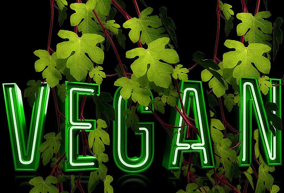 The Organic Vegan