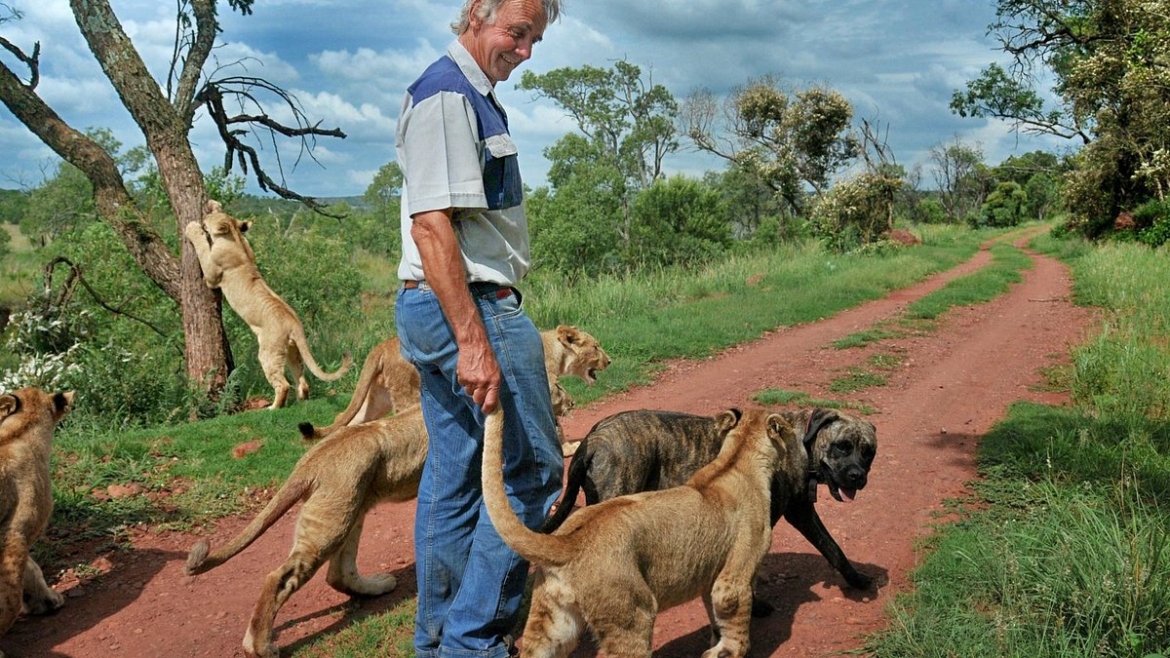 Guided Bush Walk with Lions