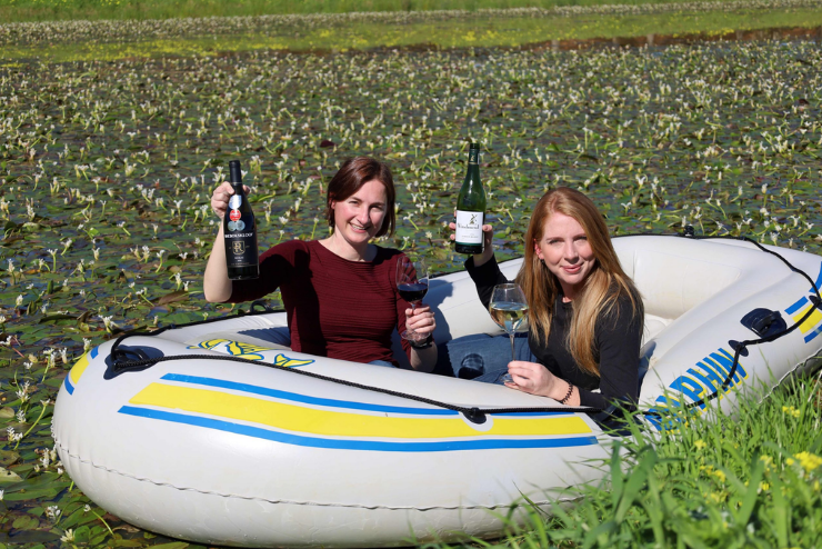 Waterblommetjie Festival